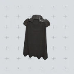 The Caped Crusader